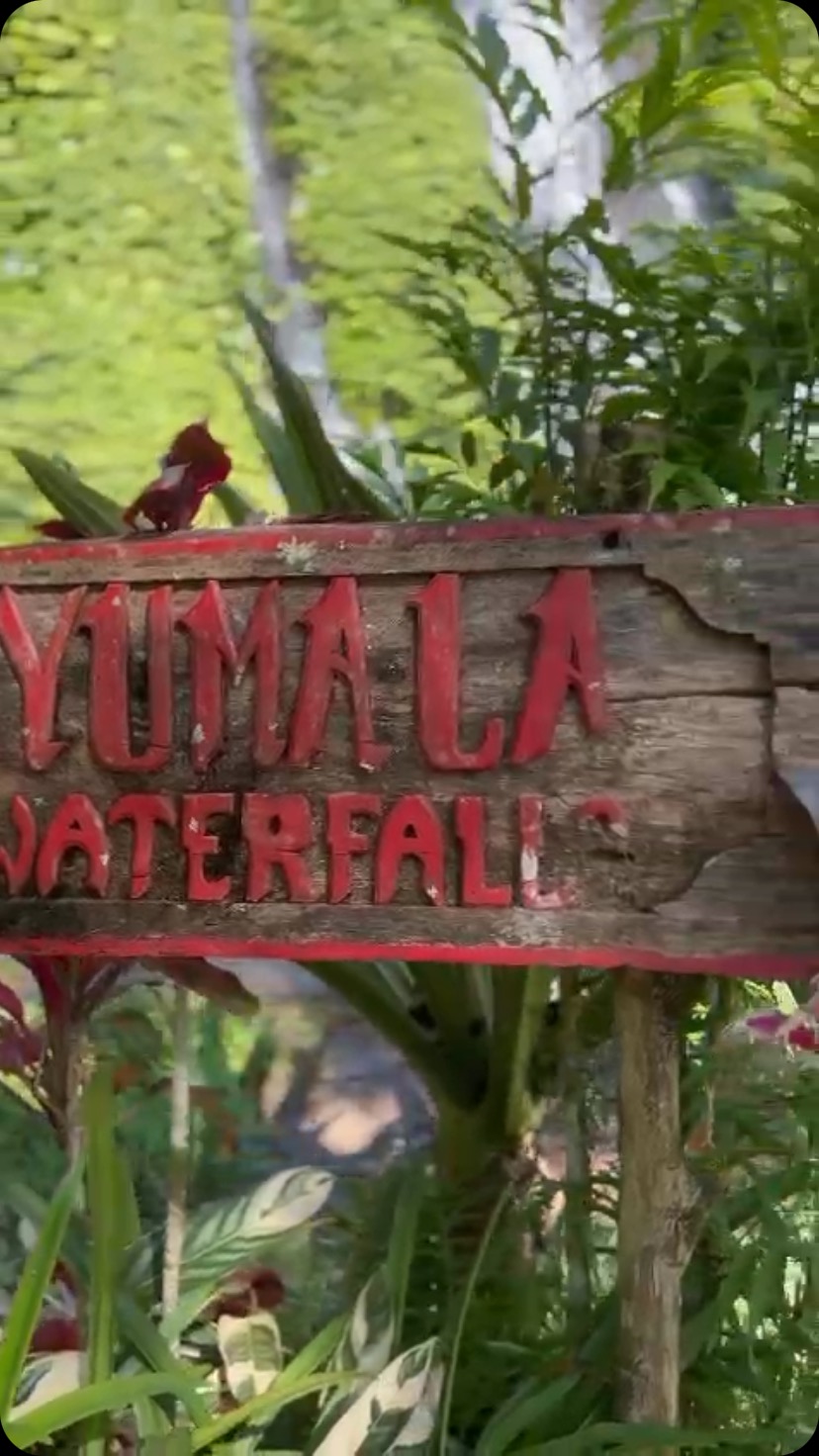 Escape to nature at Garuda Hotel Wanagiri🌿🌿
Surrounded by lush greenery and peaceful vibes, our hotel is the perfect base to explore hidden gems like Banyumala Waterfall — a stunning spot just waiting to be discovered.
No crowds, no rush… just pure nature, fresh air, and quiet moments.
This area is still untouched by mass tourism — come and feel the magic for yourself.
#GarudaHotel #Wanagiri #BanyumalaWaterfall #HiddenGemsBali #NatureEscape #PeacefulPlaces #BaliTravel #ExploreMore