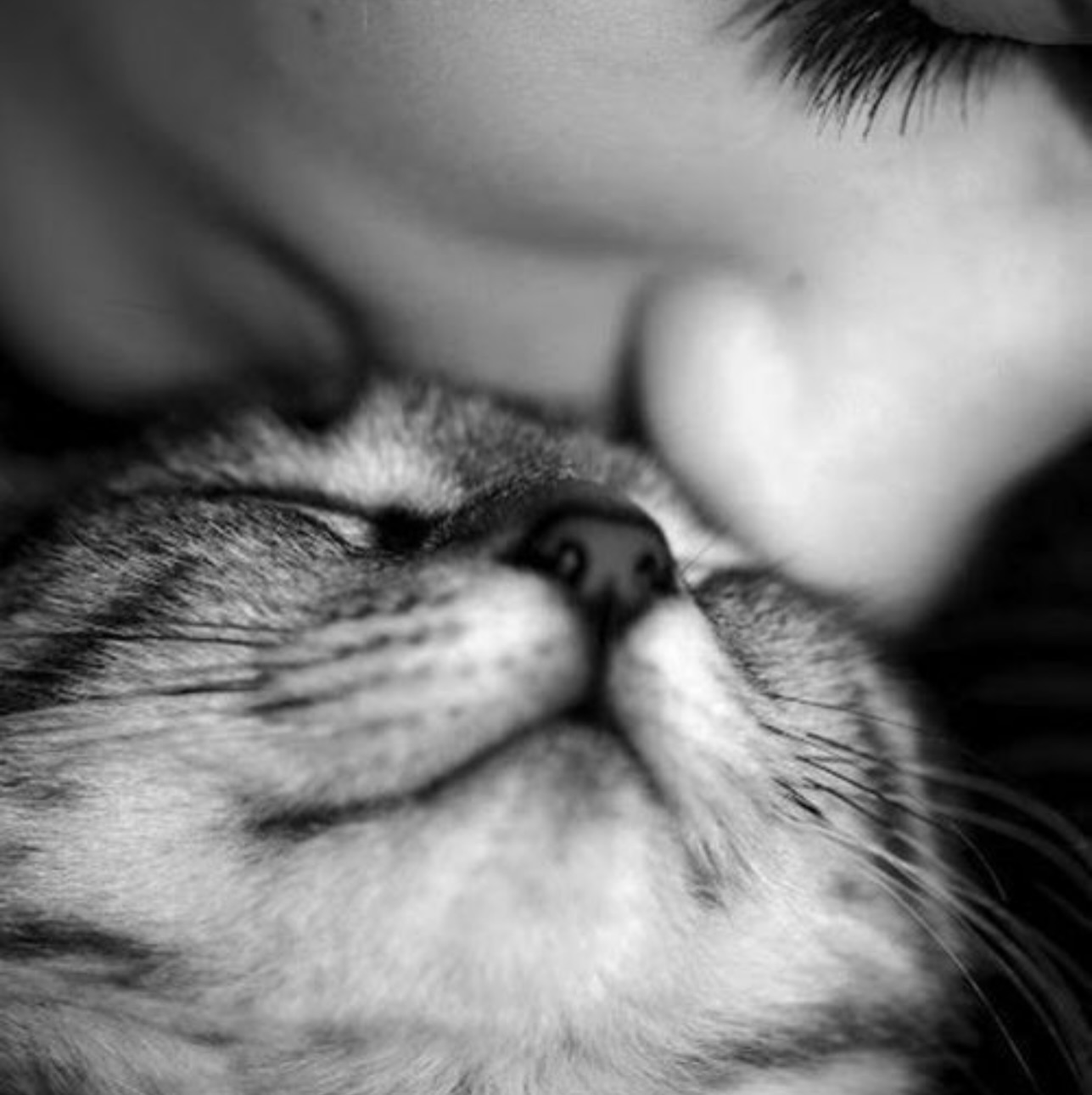 I’m not usually one for big “life update” posts… but...