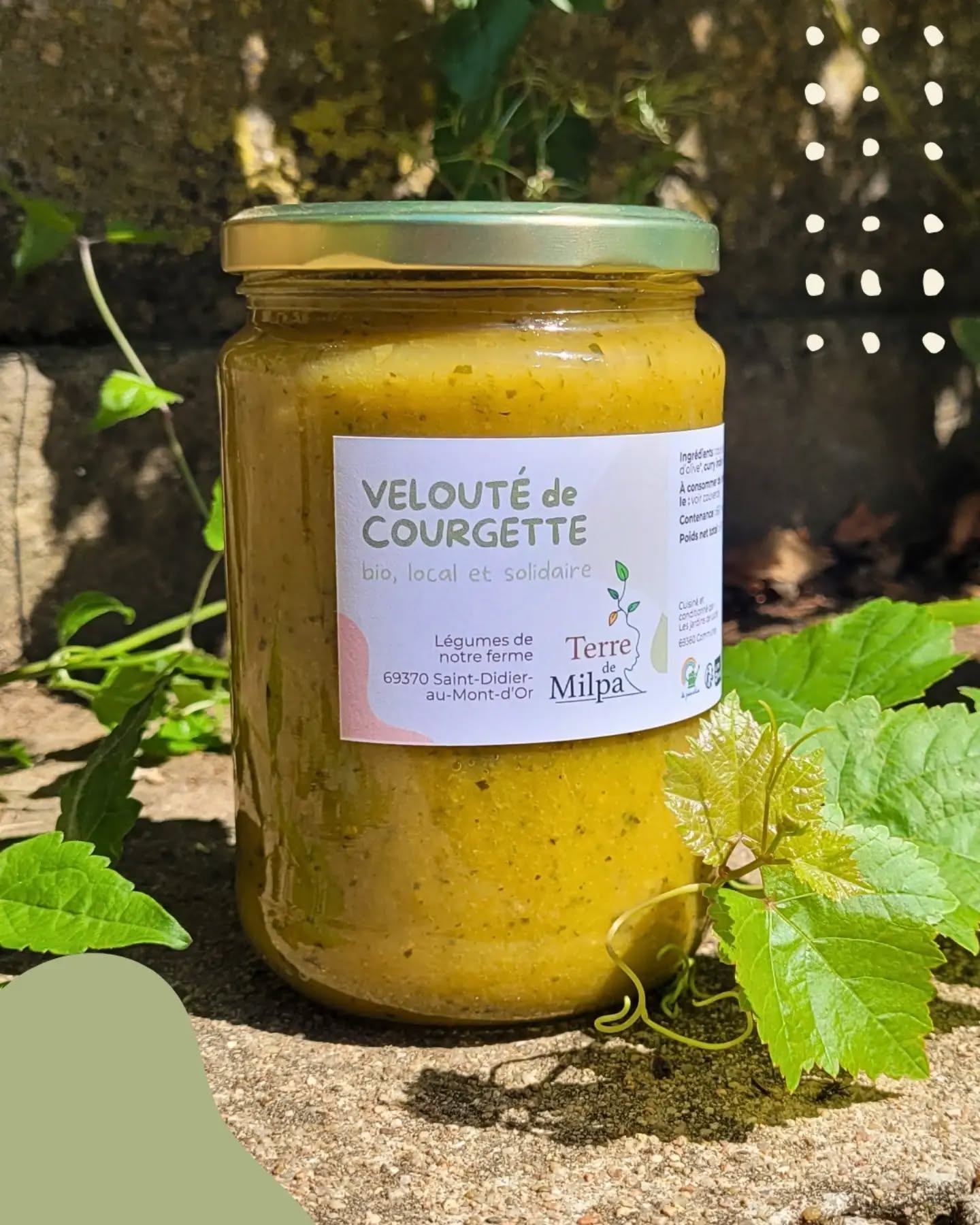 🫙 A déguster dès vendredi !
Les nouveaux bocaux Terre de Milpa arrivent 🤩
Velouté, ratatouille, tomate, pickles, confitures, tartinades, pesto... C'est la régalade assurée !
Cette année, les recettes de nos bocaux changent et ils ont été fabriqués par la ferme d'insertion les @lesjardinsdelucie , près de Lyon.
Retrouvez-les à la ferme Terre de Milpa ce vendredi 18 septembre de 9h30 à 12h30, pour une session dégustation !!
Et ensuite en vente à la ferme chaque vendredi, et dispo au Comptoir Fortunella à Saint-Fortunat et sur notre site https://terredemilpa.cocagnebio.fr/!
#bocaux #conservebio #recettesbio #jardindecocagne
